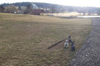 Mi�uda, a za n� t�i psi.