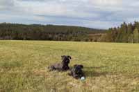 Ena, Heda a m��ek.