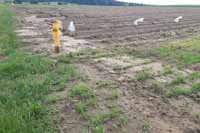 Men�� povode� a brambory jsou zase venku.