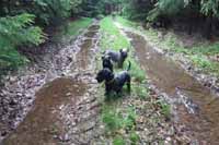 A m��eme se v�let v bahn�