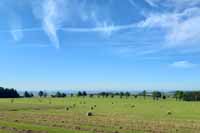 Z proch�zky na Studnic�ch.