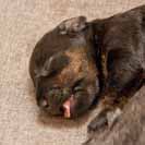 D�v� n�m jasn� najevo, co si o n�s mysl�.