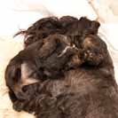 Pohodi�ka s Hedou.