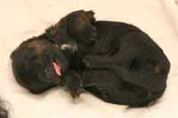 Pohodi�ka separ�.