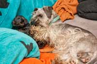 Kam jde�, je�t� jsme neskon�ily.