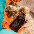 U� vid� a rve se. Zde s D�dou, prababi�kou.