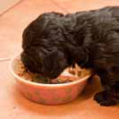 V�ci kolem se d�l� na jedl� ..