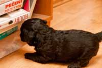 .. a ty jedl� m�n�.