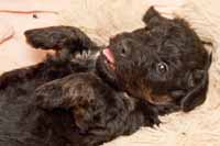 Co, kdo, j�? J� nic.