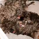 TOHLE je z�bava dle m�ho gusta.