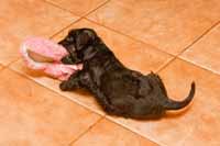 Hryz�n� do boty. V�t�zstv� je na dosah.