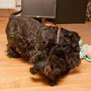 To s Enou je bitka p�edem prohran�.