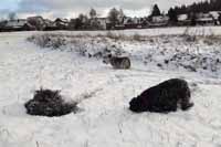 N�kdo �um�, n�kdo vrt� a n�kdo se jen tak v�l�.