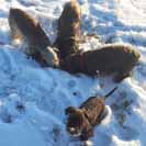 M�m tak� vrtat, nebo je to nepovinn�?.