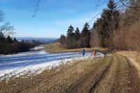 D�ti b��, psi koukaj�.