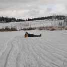 M�sto bruslen� se tu v�l�.