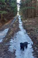 Je�i� d�lej, mrznou mi nohy.