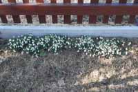 Tak mo�n� u� opravdu jaro.