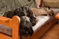 Pohodi�ka na gau�i