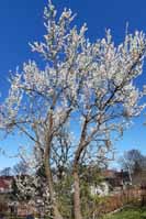 Konec dubna � jarooo!.