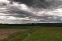 To je ale dramatick� obloha, �e D�d�?.