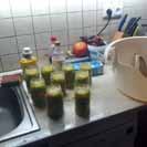 Okurky s mrkv� - jak to asi bude chutnat?