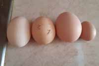 Tahle sn�� n�jak nap�l.