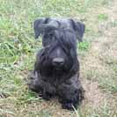 Hedynka. Vypad� jako svatou�ek, �e? No, nen�.